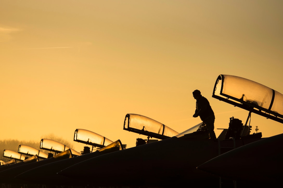 Air Force Staff Sgt. Joshua Matrine cleans the canopy on an F-15C Eagle aircraft assigned to the Louisiana Air National Guard at Leeuwarden Air Base in the Netherlands, March 28, 2017. Matrine is a crew chief assigned to the 159th Aircraft Maintenance Squadron. The 122nd Expeditionary Fighter Squadron, comprised of Louisiana and Florida Air National Guard members, will participate in Frisian Flag, a Netherlands-led exercise which is also one of Europe’s largest aerial warfare exercises, to strengthen interoperability and demonstrate U.S. commitment to the security and stability of Europe. Air Force photo by Staff Sgt. Jonathan Snyder 