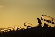 U.S. Air Force Staff Sgt. Joshua Matrine, a crew chief with the 159th Aircraft Maintenance Squadron, cleans the canopy on an F-15C Eagle aircraft assigned to the Louisiana Air National Guard at Leeuwarden Air Base, Netherlands, March 28, 2017. The 122nd Expeditionary Fighter Squadron, comprised of Louisiana and Florida Air National Guard members, conducted training alongside NATO allies to strengthen interoperability and demonstrate U.S. commitment to the security and stability of Europe. (U.S. Air Force photo by Staff Sgt. Jonathan Snyder)