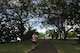 Volunteers jog on the running path overlooking Pearl Harbor during the 6th Annual Tactical Air Control Party (TACP) Association’s Remembrance Run on Joint Base Pearl Harbor-Hickam, Hawaii, March 30, 2017.  Members of the 25th Air Support Operations Squadron organized and participated in a 24-hour run challenge.  The TACP Association seeks to “remember the fallen, honor the living, and aid brothers in need,” by providing support to TACPs who were wounded and assisting the families of those killed in action.  The event is held world-wide, with every TACP unit starting the run at noon local time.  (U.S. Air Force photo by Tech. Sgt. Heather Redman)