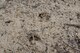 Deer tracks dot the Willow Oak Trail March 29, 2017, on Columbus Air Force Base, Mississippi. The trails have an abundance of wildlife for visitors to see.