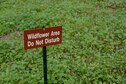 A plot of land is reserved for a wildflower sanctuary March 29, 2017, on Columbus Air Force Base, Mississippi. Visitors can see many different flora along the trails but are asked to not disturb the environment. 