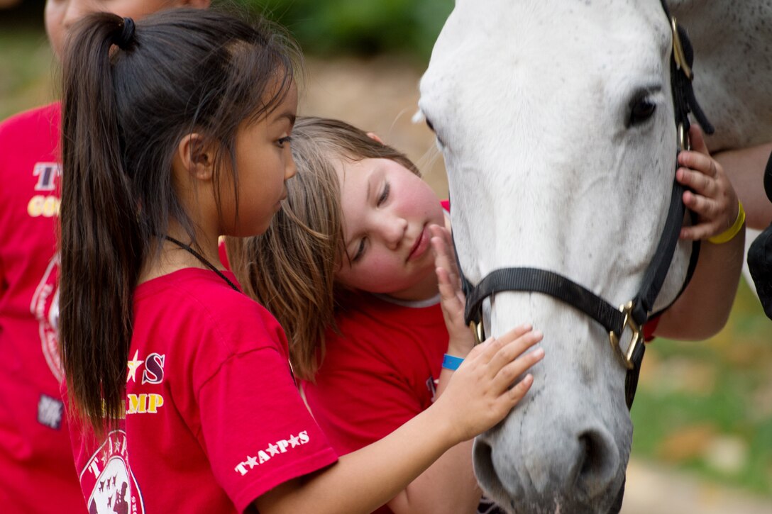 Children pet a horse.