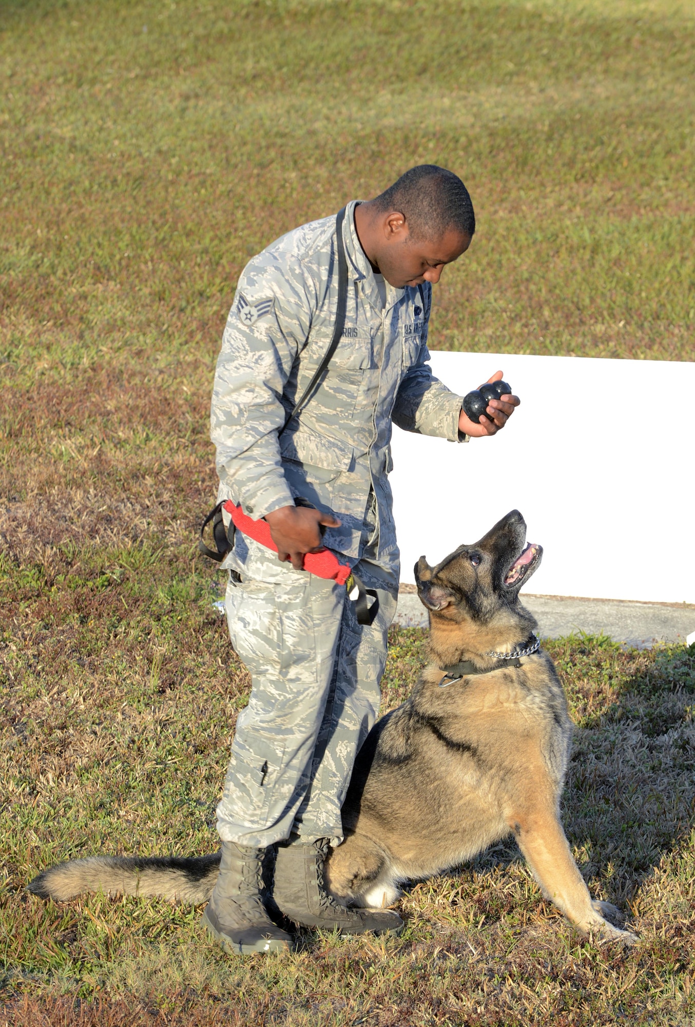 U.S. Air Force Senior Airman Dameion Morris, military working dog (MWD) handler assigned to the 6th Security Forces Squadron, plays with MWD Zoran one last time before his retirement at MacDill Air Force Base, Fla., March 29, 2017. Zoran arrived at MacDill in 2010, and has deployed twice during his seven years of service. (U.S. Air Force photo by Senior Airman Tori Schultz)