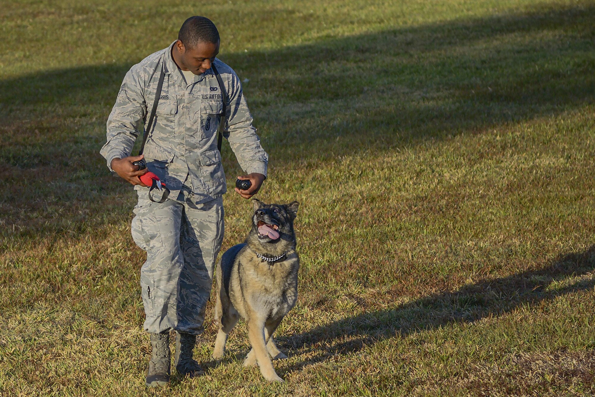 U.S. Air Force Senior Airman Dameion Morris, a military working dog (MWD) handler with the 6th Security Forces Squadron spends time working with Zoran, a MWD with the 6th SFS at MacDill Air Force Base, Fla., Mar. 29, 2017. Zoran has been at MacDill for seven years serving as a dual-purpose dog for detection and patrol. (U.S. Air Force photo by Airman First Class Ashley R. Perdue)
