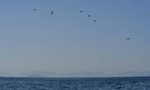 Six Greek paratroopers and a rigging alternate method zodiac kit descend to the Mediterranean Sea after jumping from a U.S. Air Force C-130J Super Hercules during Exercise Stolen Cerberus IV near Elefsis Air Base, Greece, April 27, 2017. During this fourth iteration of the exercise, it was the first time U.S. and Greek servicemembers trained for this type of drop. Through exercises such as this the U.S. strengthens its partnership with its NATO allies. (U.S Air Force photo by Senior Airman Tryphena Mayhugh)