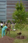Col. Gloria Bonds (right), Brooke Army Medical Center deputy commander for inpatient services, and Spc. Ashley Abney (left), Department of Ministry and Pastoral Care chaplain assistant, help celebrate Arbor Day April 28 by helping to plant a red oak tree in front of the garden entrance to the hospital. The first official Arbor Day was held April 10, 1872 in Nebraska. It was estimated that more than one million trees were planted on that date. 
