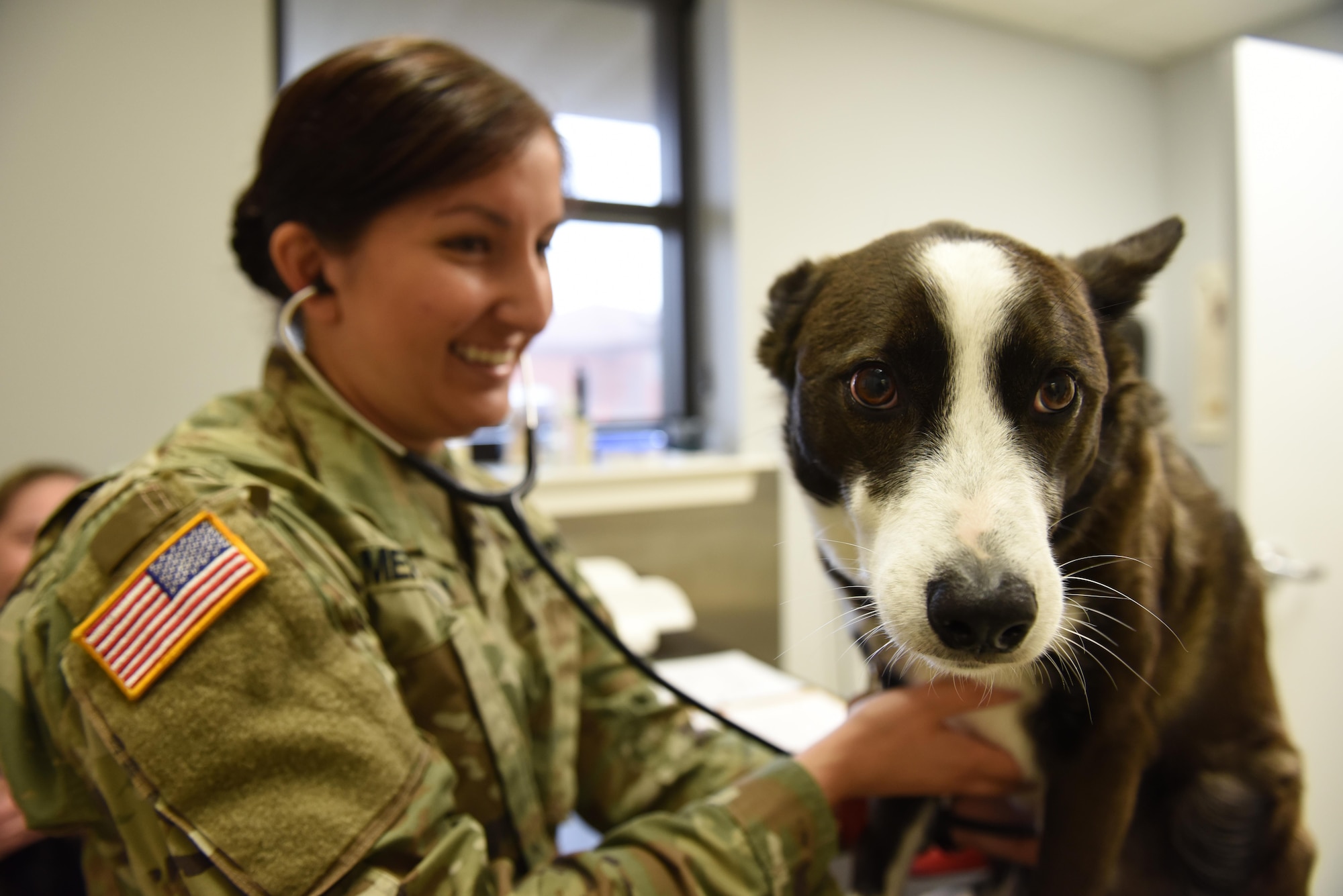 U.S. Army Capt. Sarah Merriday, Public Health Activity Veterinary Corps officer, monitors Scooter’s heartbeat April 17, 2017, at the Little Rock Air Force Base Veterinary Treatment Facility on Little Rock AFB, Ark. The treatment facility personnel are subject matter experts in preparing service members and their pets for permanent change of stations when the mission allows it. (U.S. Air Force photo by Senior Airman Mercedes Taylor)