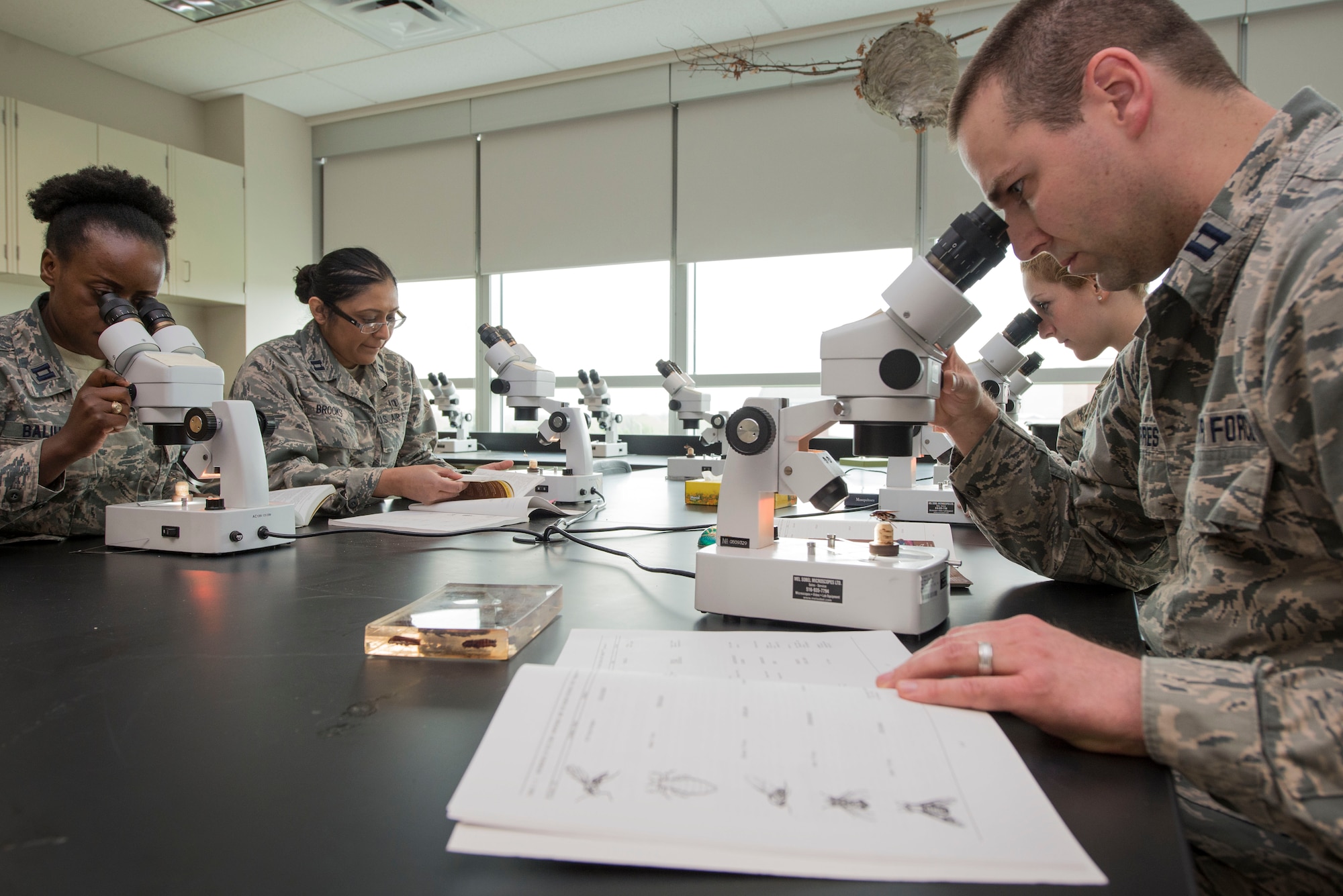 U. S. Air Force School of Aerospace Medicine Public Health Education Division students Capt. Ryan Joerres (right, front), 1st Lt. Lara Esin (right, back) and Capt. Michele Balihe (left, front) and faculty member Capt. Caroline Brooks (left, back), view medically significant insects inside the entomology education laboratory at the Public Health and Preventive Medicine Department, U.S. Air Force School of Aerospace Medicine, Wright-Patterson Air Force Base, Ohio, April 21, 2017. Air Force Public Health students study vectors of disease to better understand how some transmit pathogens, such as Zika, Chikungunya, Dengue and West Nile viruses.
(U.S. Air Force photo/Michelle Gigante)
