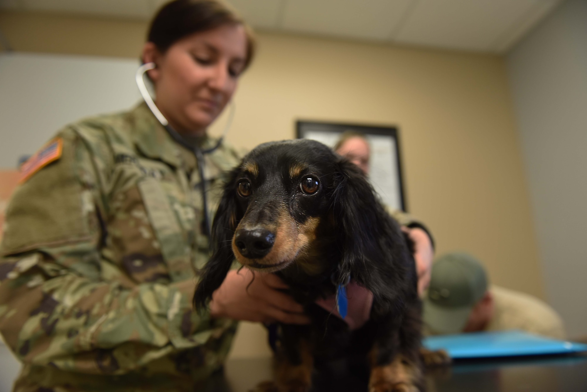 U.S. Army Capt. Sarah Merriday, Public Health Activity Veterinary Corps officer, monitors Sunny’s heartbeat April 17, 2017, at the Little Rock Air Force Base Veterinary Treatment Facility on Little Rock AFB, Ark. The treatment facility personnel are subject matter experts in preparing service members and their pets for permanent change of stations when the mission allows it. (U.S. Air Force photo by Senior Airman Mercedes Taylor)
