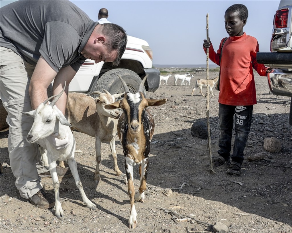 U.S. Army Major Gary Brown, 418th Civil Affairs Battalion (FxSP) senior veterinarian administers anti-parasitic medication during a veterinarian assistance mission outside of Dikhil, Djibouti, March 28, 2017. The veterinarian assistance mission is intended to enhance the capabilities of local animal health workers, ensure animal herd well-being, and strengthen agricultural and economic stability, while fostering positive relationships between the U.S. and partner nations. (U.S. Air National Guard photo by Staff Sgt. Christian Jadot)