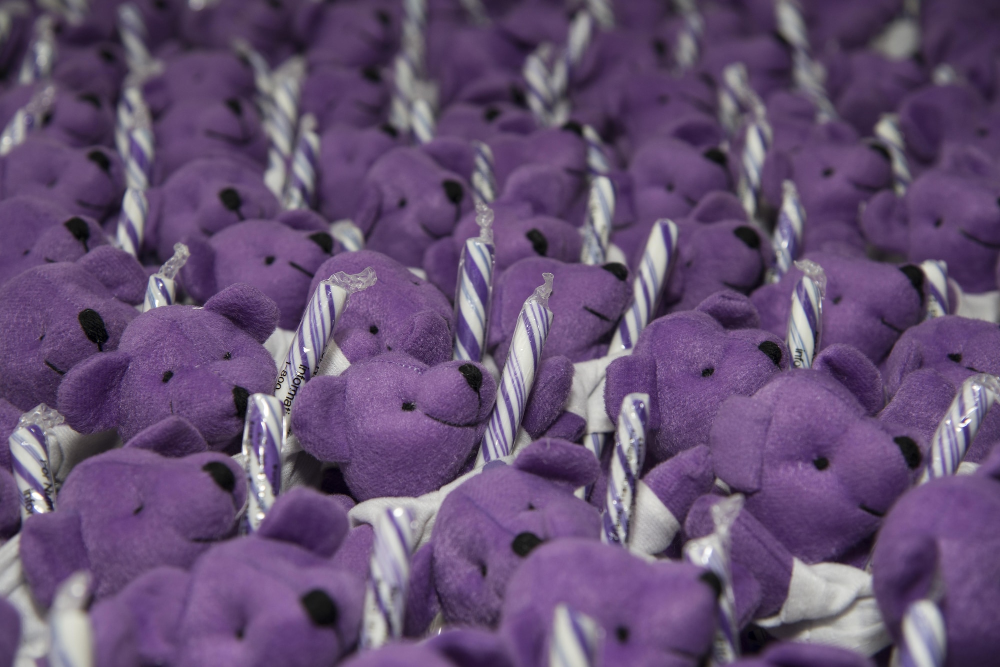 Plush purple bears stand in a tight formation at Team Dover’s inaugural Purple Ball April 29, 2017, at the Youth Center on Dover Air Force Base, Del. The stuffed animals were handed out as parting gifts during the Month of the Military Child event. (U.S. Air Force photo by Senior Airman Aaron J. Jenne)