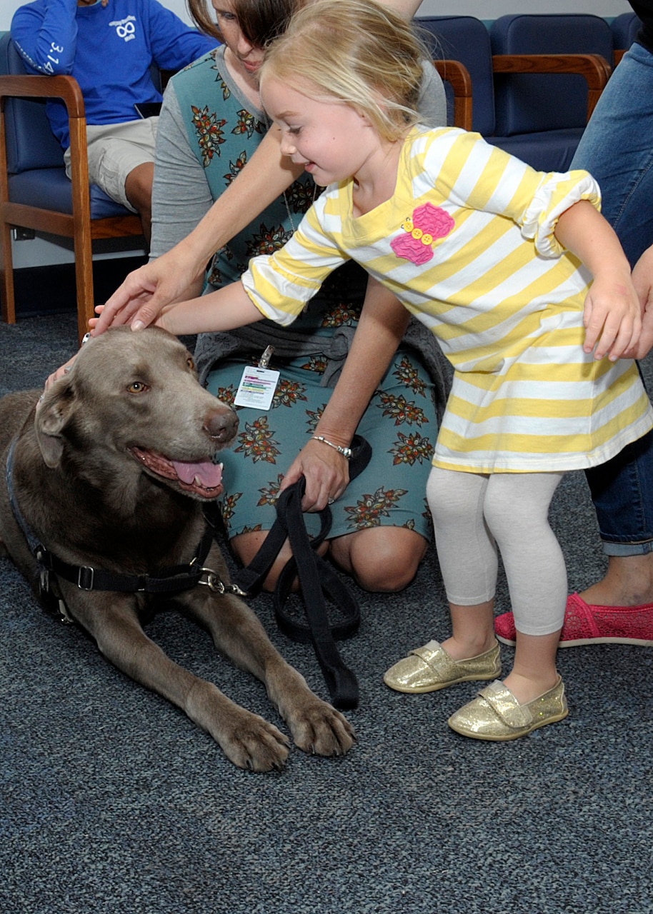 Honorary Lt. Finley Lewis, Naval Health Clinic Corpus Christi facility dog, meets a young admirer in the waiting area of the clinic's pharmacy, April 17, 2017. Finley is skilled at enhancing the quality of life, education and morale of patients, as well as of the clinic's staff. Navy photo by William Love