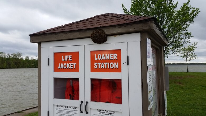 bees wear their lifejackets too! > huntington district