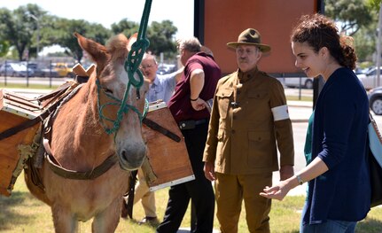 Marianela Feliu admires Belle, a mule, who was part of a World War I living history demonstration May 1 at the U.S. Army Medical Department Museum at Joint Base San Antonio-Fort Sam Houston. The living history demonstration marked the opening of a temporary exhibit at the museum, “Scientific War: Human Price,” that commemorates the 100th anniversary of the U.S. entry into World War I and focuses on the role of the U.S. Army Medical Department during the war. Standing in the background and dressed in a reproduction World War I Army medical uniform is Jed Elrod.