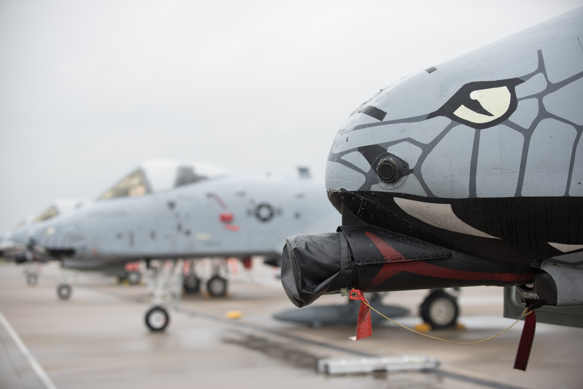 U.S. Air Force A-10 Thunderbolt II aircraft line the tarmac at the Kentucky Air National Guard Base in Louisville, Ky., April 22, 2017, prior to their performance in the Thunder Over Louisville air show later in the day. The Kentucky Air National Guard is once again providing logistical and maintenance support to military aircraft participating in the event, which has grown to become the largest annual single-day air show in America. (U.S. Air National Guard photo by Lt. Col. Dale Greer)