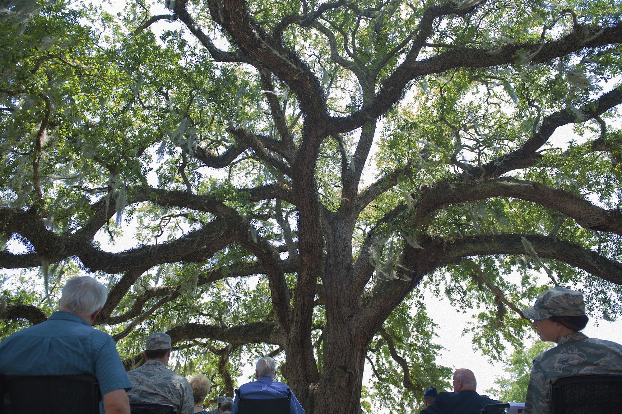 Team Moody and local community attendees participate in the induction of “Flying Tiger Oak” into the Live Oak Society, April 28, 2017, at Moody Air Force Base, Ga. This tree is one of approximately 8,300 nationally registered live oaks across 14 states, known for its prestigious tradition, location and size. Dr. Lucy Greene, Moody Support Committee executive director, reached out to community leaders about getting the tree recognized, which was accepted for its significance of pre-dating Moody AFB and being symbolic of the communities’ bond. 