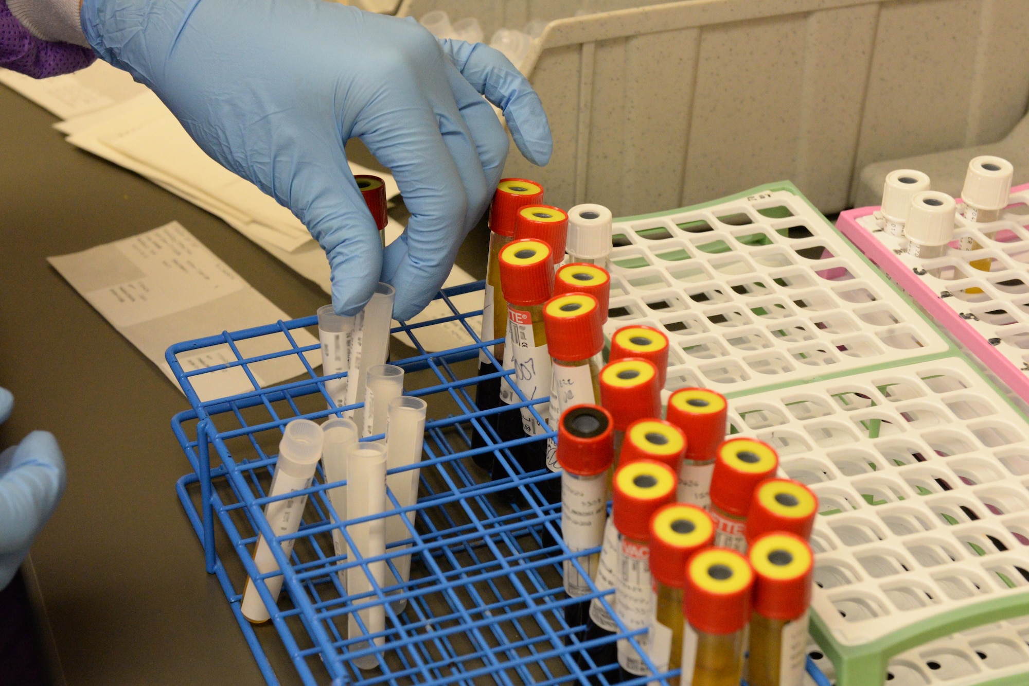 Airman 1st Class Kristen Lowder, a medical laboratory technician assigned to the 28th Medical Support Squadron, sorts through different blood samples inside the medical laboratory at Ellsworth Air Force Base, S.D., April 24, 2017. The samples are tested for different infections, blood types and drug use. (U.S. Air Force photo by Airman Nicolas Z. Erwin)