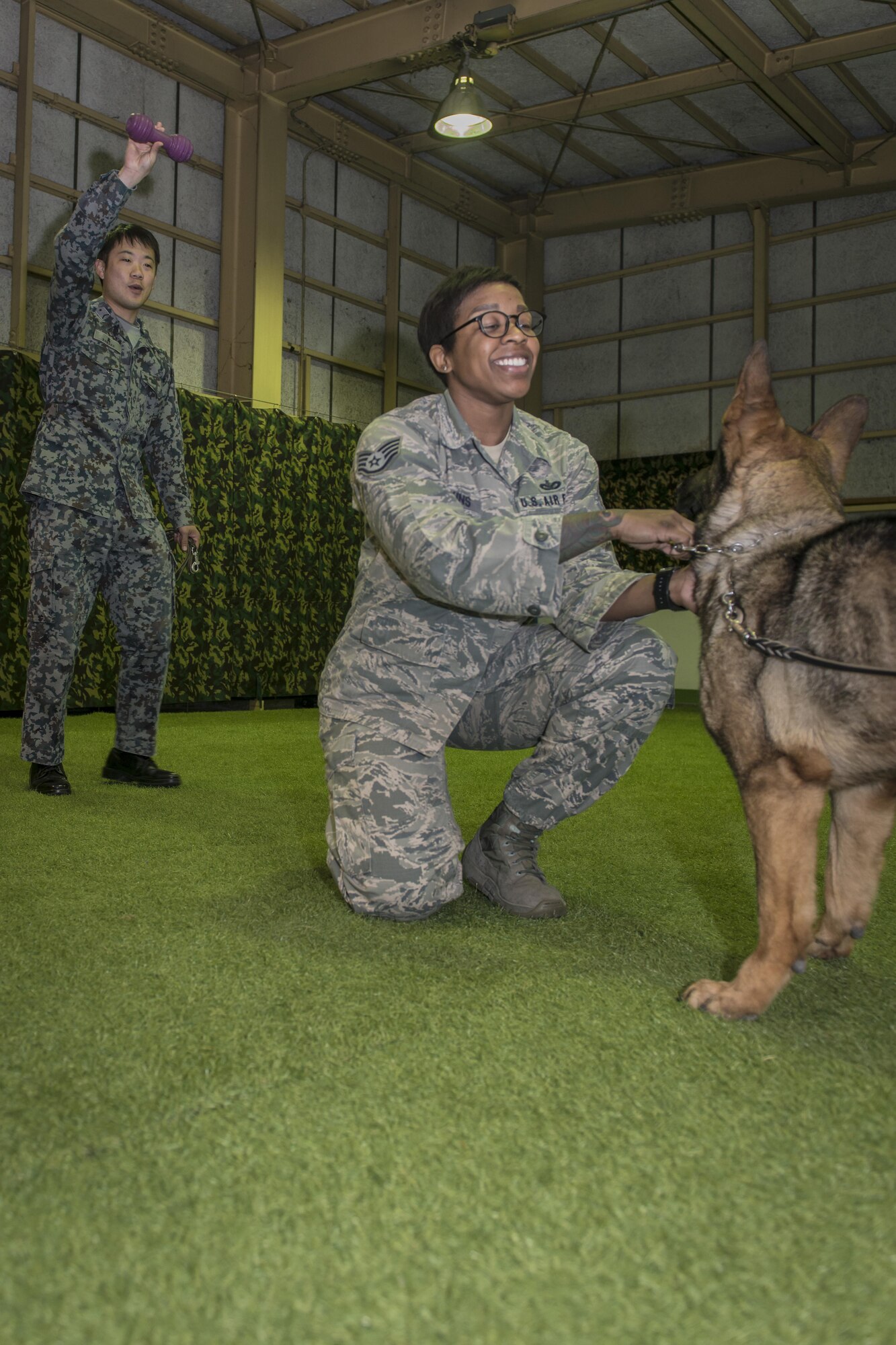 Koku-Jieitai Staff Sgt. Shunsuke Yorozu, left, a 2nd Air Wing Security Forces member, waves a toy as U.S. Air Force Staff Sgt. Ebony Jenkins, center, a 35th Security Forces Squadron member, holds a military working dog during a training practice during a 10-day U.S.-Japan Bilateral Career Training at Chitose Air Base, Japan, April 19, 2017. Jenkins worked side-by-side with Yorozu learning how the Koku-Jieitai executes their security mission. She traveled from Misawa Air Base, Japan, with nine other U.S. Airmen for the bilateral exchange event specifically designed to bring the two nation’s air forces closer as allies and friends. Koku-Jieitai is the traditional term for Japan Air Self Defense Force used by the Japanese. (U.S. Air Force photo by Tech. Sgt. Benjamin W. Stratton)