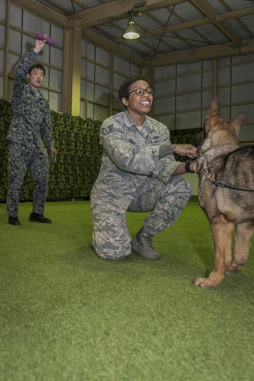 Us Japan Airmen Enhance Bilateral Partnership Make Friends Misawa Air Base Article Display