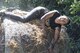 A Moody Mud Run participant hurdles her body over a hail bail, May 6, 2017, in Ray City, Ga. The Fourth Annual Moody Mud consisted of both adult and child course that challenged more than 600 participants with obstacles over 4.2 miles. (U.S. Air Force photo by Staff Sgt. Eric Summers Jr.)