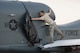 Senior Airman Nicolas Blair,  69th Reconnaissance Group Detachment 1 crew chief, removes an engine cover during an RQ-4 preflight inspection at Yokota Air Base, Japan, May 5, 2017. The Global Hawk's mission is to provide a broad spectrum of intelligence, surveillance, and reconnaissance collection capabilities to support combatant forces in worldwide peacetime, contingency and crisis operations. (U.S. Air Force photo by Yasuo Osakabe)