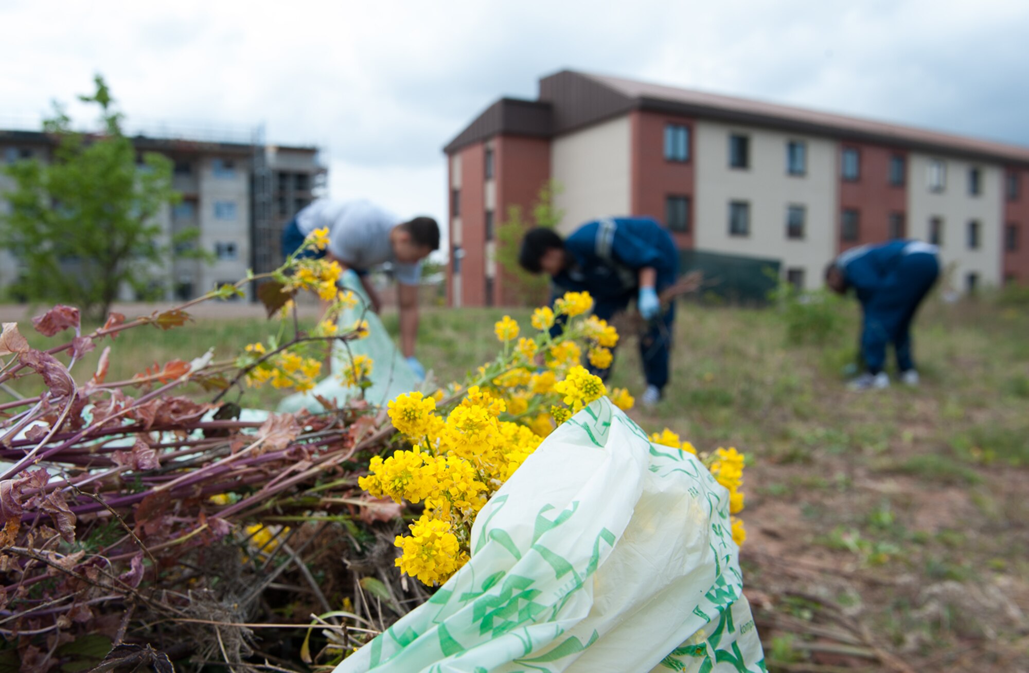 Airmen pull weeds during ‘Clean Where You Work’ at Ramstein Air Base, Germany, May 2, 2017. Clean Where You Work is a day designated for the cleaning of administrative and industrial facilities, grounds and common areas across the Kaiserslautern Military Community by facility managers and building occupants. (U.S. Air Force photo by Airman 1st Class Savannah L. Waters)