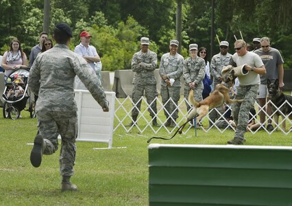 U.S. Air Force Senior Airman Trey Weston, left, 628th Security Forces Squadron military working dog handler, and U.S. Air Force Staff Sgt. Jeremy Vess, right, 628th SFS, performs a demonstration with Ari, MWD,  during a base picnic at the Air Base Picnic Grounds May 5, 2017, at Joint Base Charleston, S.C. Attendees were provided free meals and were able to participate in various activities including face painting, wall rock climbing, live music and a Military Working Dog demonstration.