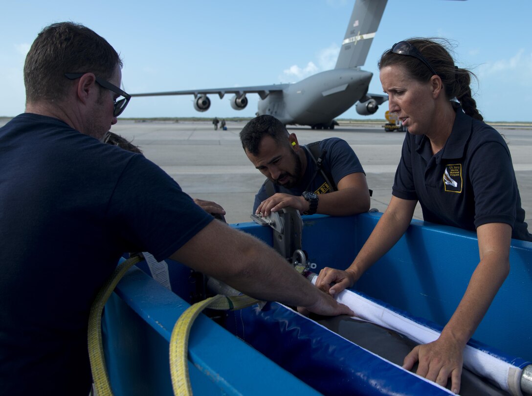 A dolphin from the U.S. Naval Marine Mammal Program is prepped to fly from Key West, Fla., to San Diego, April 29, 2017. The 301st Airlift Squadron transported the dolphins and their handlers to the NMMP where the dolphins train to assist the Navy with locating mines and enemy swimmers. (U.S. Air Force photo/Staff Sgt. Nicole Leidholm)