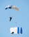 The U.S. Air Force Academy Wings of Blue parachute team perform skydiving maneuvers during the Wings Over Solano Air Show at Travis Air Force Base, Calif., May 7, 2017. The two-day event also featured performances by the U.S. Air Force Thunderbirds Aerial Demonstration Team, flyovers and static displays. (U.S. Air Force photo by Louis Briscese)