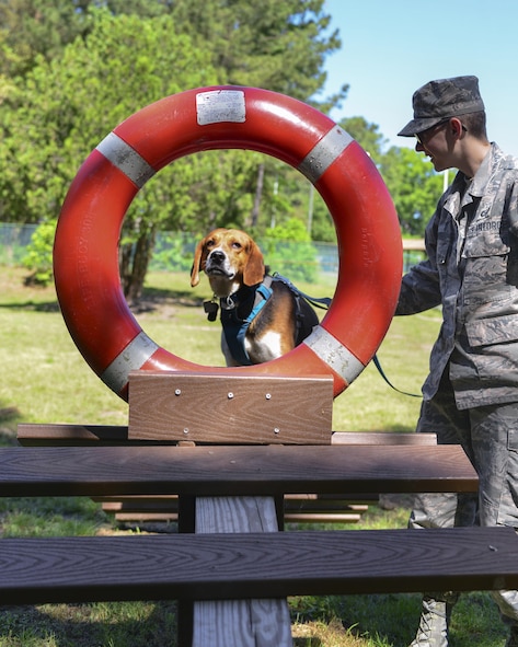 U.S. Air Force Airman 1st Class Kaylee Dubois, 633rd Air Base Wing Public Affairs photojournalist, spends time with her dog, Watson, at Joint Base Langley-Eustis, Va., May 9, 2017. Dubois spent roughly seven months in mental health treatment programs, and once she was successful in managing her own recovery process, she adopted a rescued dog, who now aids in her "self treatment."(U.S. Air Force photo/Tech. Sgt. Katie Gar Ward)