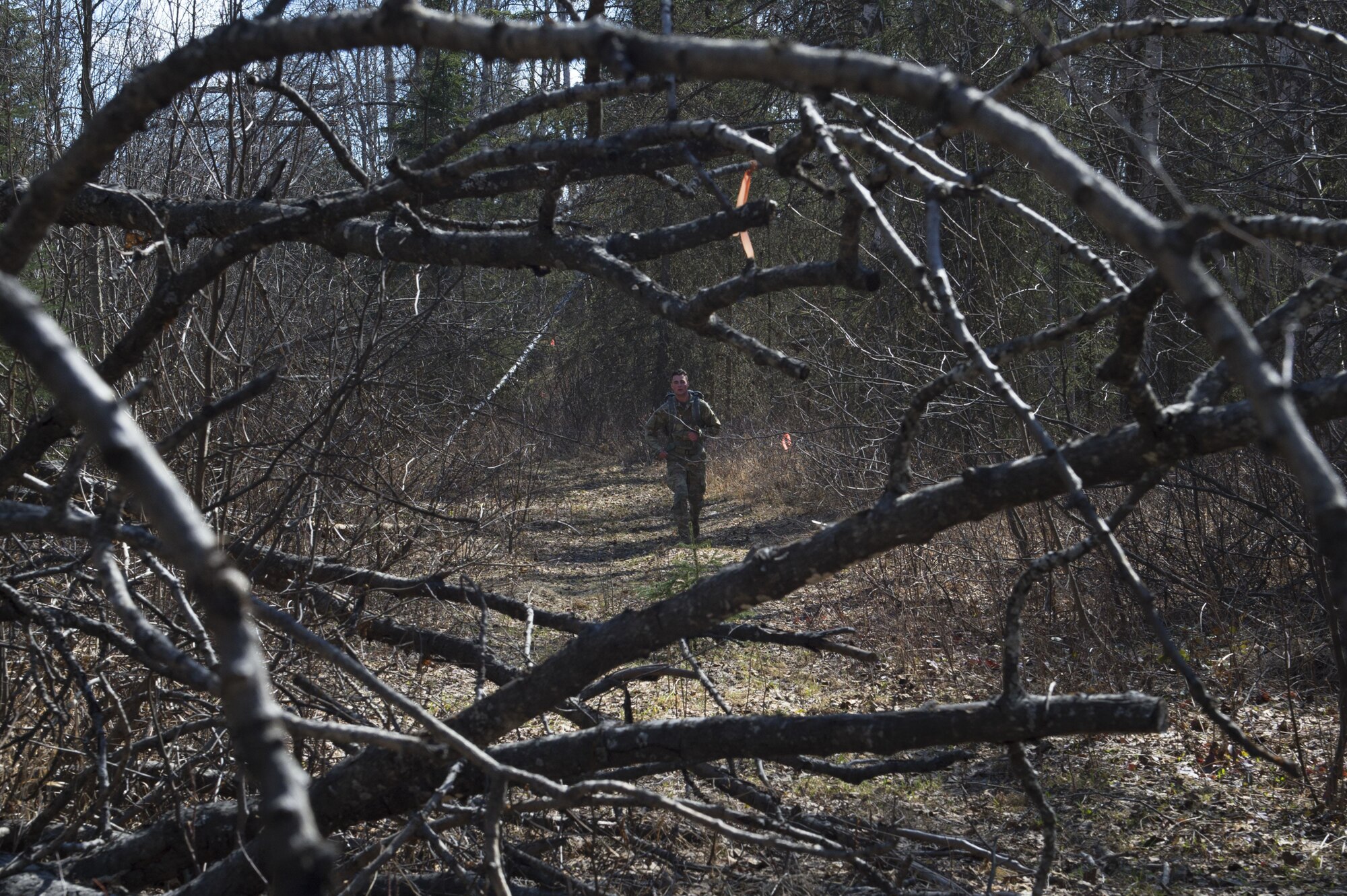 Joint Base Elmendorf-Richardson service members participate in the Combat Cross Country Trail Run at Otter Lake, JBER, Alaska, May 5, 2017. During the event, nine teams of five ran approximately three miles around the lake with 35-pound ruck-sacks. The team representing the 4th Quartermaster Company, 725th Brigade Support Battalion (Airborne), 4th Infantry Brigade Combat Team (Airborne), 25th Infantry Division, U.S. Army Alaska, received first place. 