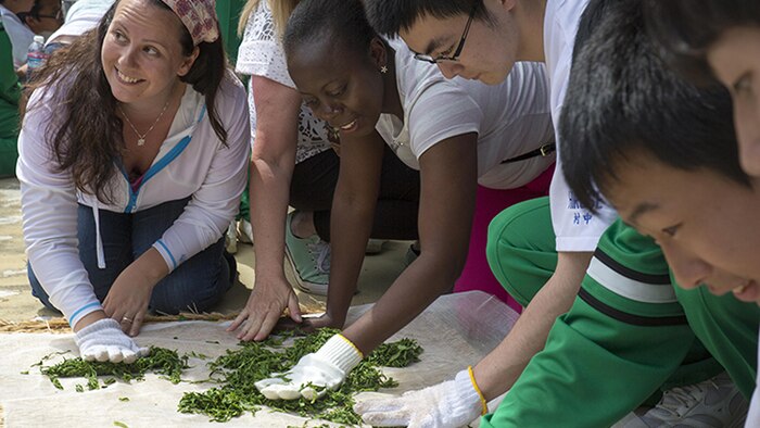 Stefanie Hansen and Tanesha Wallen, Marine Corps Air Station Iwakuni residents, press and roll green tea leaves with Hirose-Iwakuni High School students during a Cultural Adaption Program tea harvesting event in Iwakuni City, May 2, 2017. The Cultural Adaptation Program gave station residents the opportunity to experience the Japanese culture alongside elementary and high school students, nursing home residents and other Japanese locals. (U.S. Marine Corps photo by Lance Cpl. Carlos Jimenez)