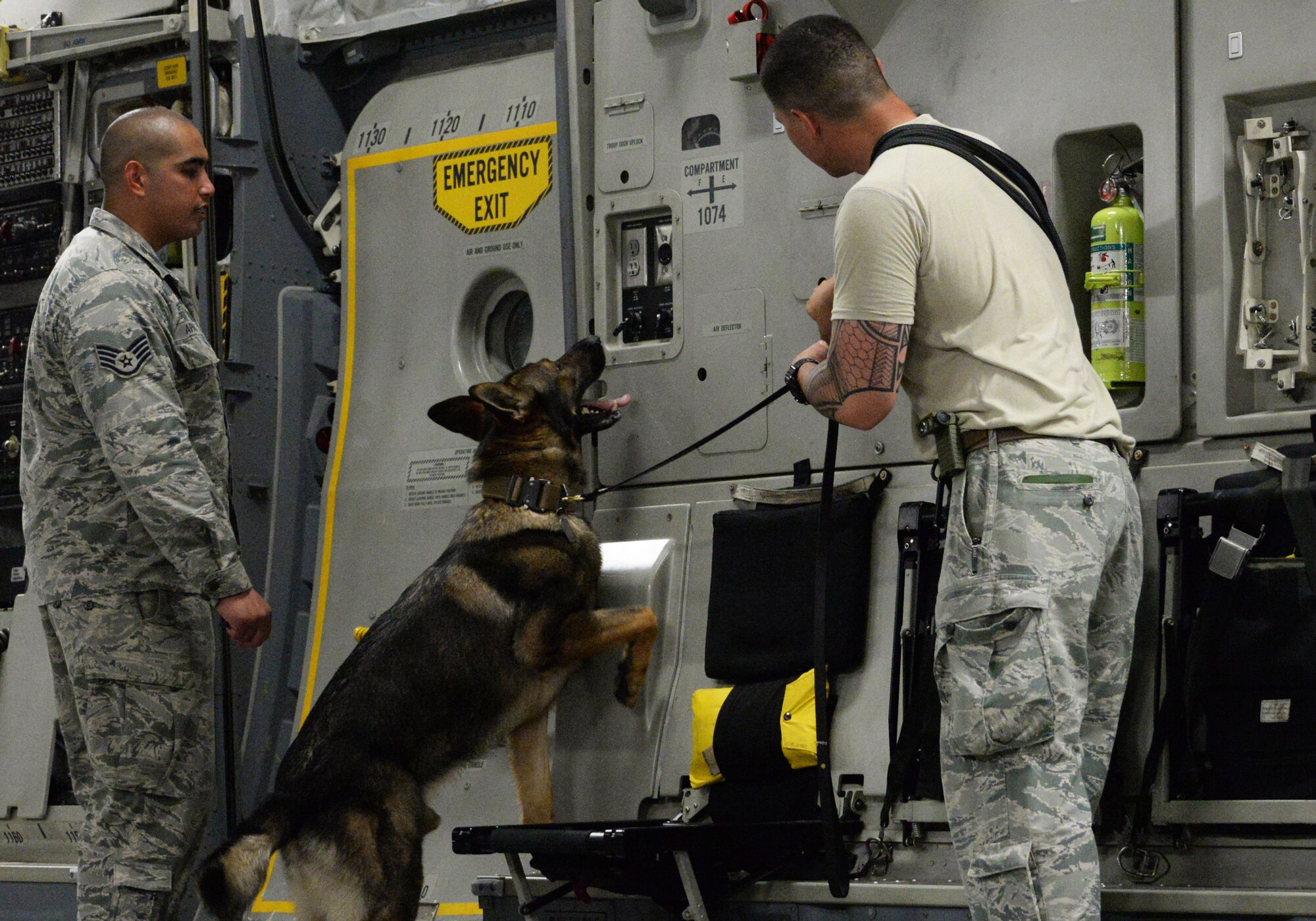 U.S. Air Force Staff Sgt. Amadio Apilado (left), military working dog trainer assigned to the 379th Expeditionary Security Forces Squadron, and Senior Airman Ryan Rayos, a military working dog handler assigned to the 379 ESFS, look on as military working dog Aramis draws attention to a target planted in a compartment on the interior wall of a C-17 Globemaster III during a detection exercise at Al Udeid Air Base, Qatar, May 4, 2017. The exercise is designed to give the K-9 teams an opportunity to familiarize themselves with the general layout and specific challenges associated with detection aboard an aircraft. (U.S. Air Force photo by Tech. Sgt. Bradly A. Schneider/Released)