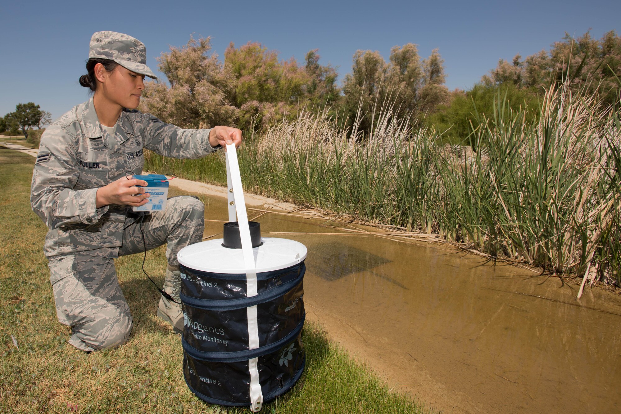 Airman 1st Class Kristal Fuller, 412th Aerospace Medicine Squadron Public Health technician, traps female mosquitoes to send off for disease testing. (U.S. Air Force photo by Joseph Gocong)