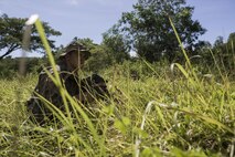 A U.S. Soldier, 1st Battalion, 23rd Infantry Regiment, crouches behind brush during counterterrorism training in support of Balikatan 2017 at Fort Magsaysay in Santa Rosa, Nueva Ecija, May 12, 2017. By training together, the Philippine and U.S. military build upon shared tactics, techniques, and procedures that enhance readiness and response capabilities to emerging threats. Balikatan is an annual U.S.-Philippine bilateral military exercise focused on a variety of missions including humanitarian and disaster relief, counterterrorism, and other combined military operations.