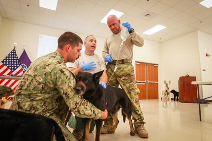 Lee Palmer (center), a trauma care veterinarian and assistant professor from Auburn University, explains how to provide intravenous fluids to working dogs with the aid of Navy K9 Handler (left), Petty Officer 2nd Class William Rogacki and his working dog Cuba, during a K9 Tactical Emergency Casualty Care course held May 6 at N.A.S. Corry Station in Pensacola, Fla.