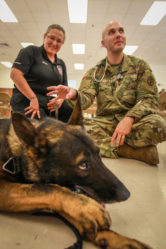 Melissa Harris, a Pensacola Police K9-team handler, Kojo, a Pensacola Police working dog, learn how to assess working dogs for early signs of injury or trauma from Capt. James Corrigan, an Army veterinarian, during a K9 Tactical Emergency Casualty Care course held May 6 at N.A.S. Corry Station in Pensacola, Fla.