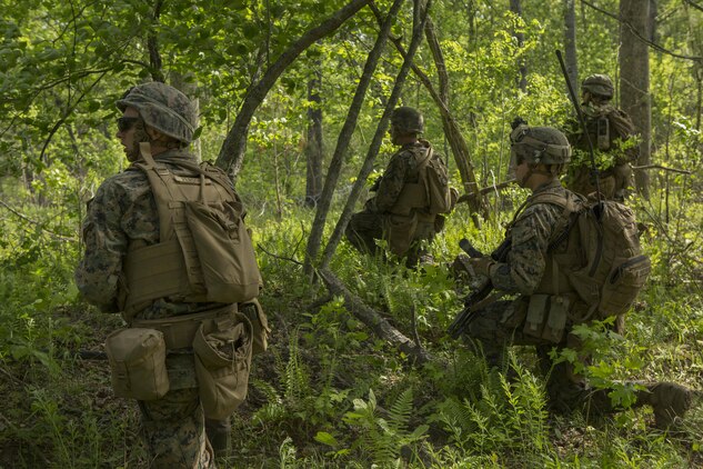 Marines attempt to locate a notional target during a company attack exercise at Fort A.P. Hill, Va., May 1, 2017. The Marines conducted a live-fire exercise that helped improve their leadership and teamwork abilities. The Marines are with G Company, 2nd Battalion, 2nd Marine Regiment. (U.S. Marine Corps photo by Pfc. Abrey D. Liggins)
