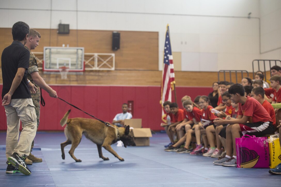 Local Okinawan children cheer as a military working dog is brought out for a demonstration during the Young Marine Battalion Field Meet on Camp Hansen, Okinawa, Japan, May 13, 2017. The field meet allowed local Okinawan children and children of the Young Marines program to work together as a team to overcome obstacles and build camaraderie. (U.S. Marine Corps Photo by Lance Cpl. Deseree Kamm)