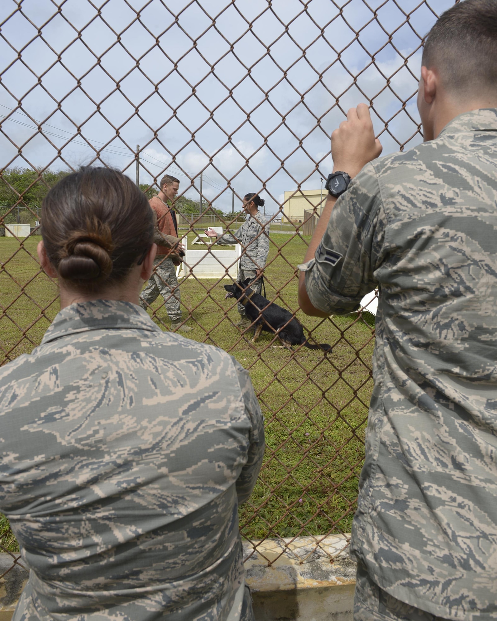 Airmen from the First Term Airmen Center watch a Military Working Dog demonstration during the Pacific Air Power Tour, May 15, 2017, at Andersen Air Force Base, Guam. The purpose of the tour is to introduce new Airmen to various career fields that play a role in getting the mission done. (U.S. Air Force photo by Senior Airman Cierra Presentado/Released)