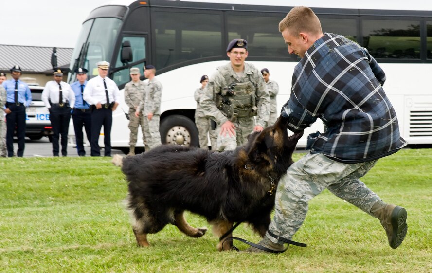 Senior Airman David Bischoff, 436th Security Forces Squadron Military Working Dog handler, watches MWD Terry attack Senior Airman Alexander Cormier, 436th SFS during a demonstration, May 11, 2017, on Dover Air Force Base, Del. Fifteen members of the Philadelphia Police Department, Philadelphia, Pa., watched various scenarios showing how a handler and MWD are capable of neutralizing a hostile threat. (U.S. Air Force photo by Roland Balik)
