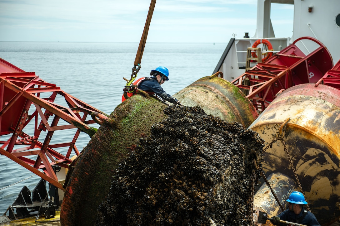 Coast Guard Cutter Oak crew member Seaman Samantha Schwind scrapes mussels and other marine growth off a buoy off the coast of Nantucket, Mass., May 10, 2017. Coast Guard photo by Petty Officer Andrew Barresi