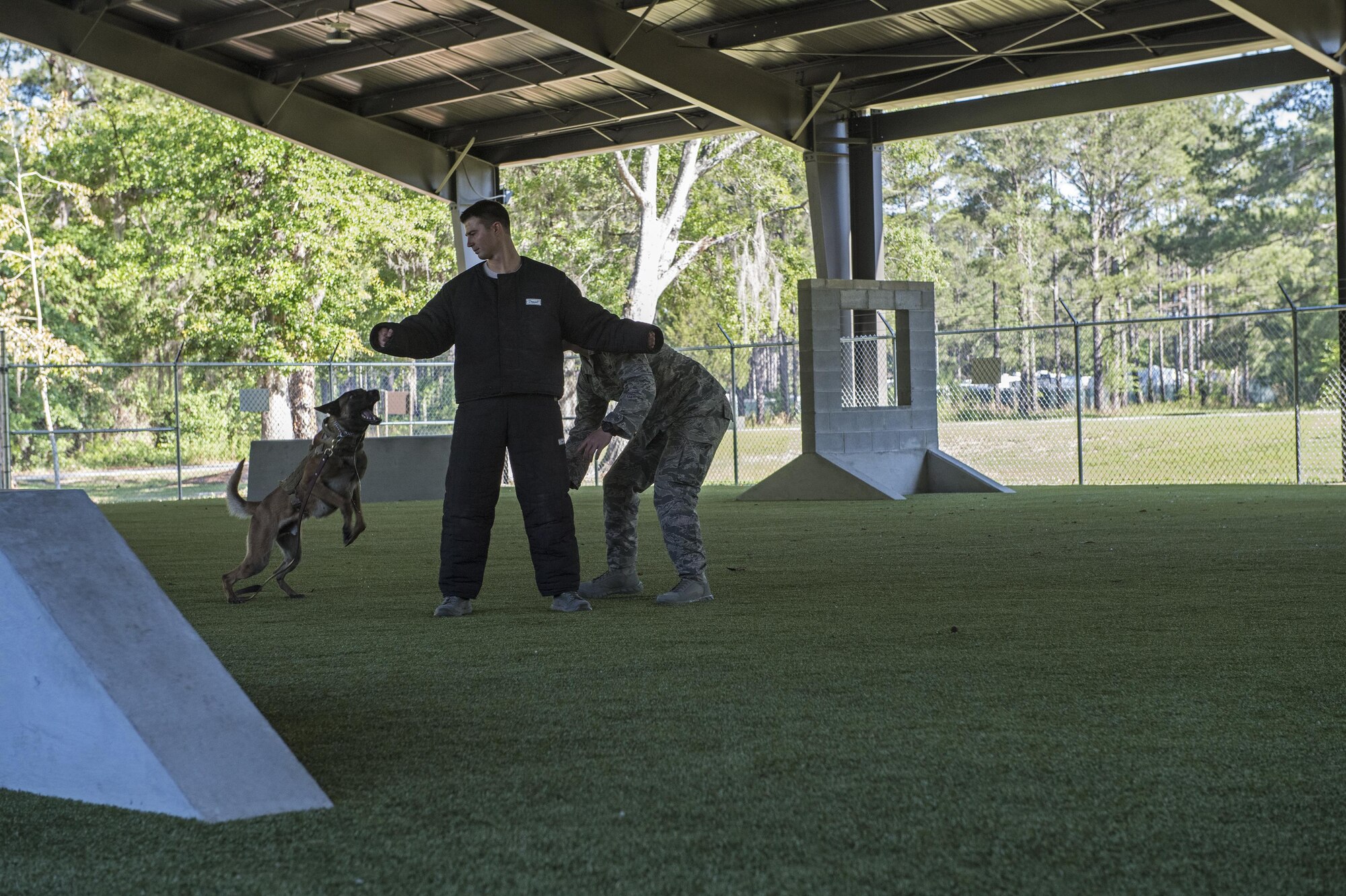 Military working dog Ttoby lunges at a simulated bad guy during a Police Week K-9 demonstration,  May 16, 2017, at Moody Air Force Base, Ga. Moody’s Security Forces Squadron and the Valdosta Police Department K-9 unit held a showcase where MWD’s and their civilian counterparts got to show off their skills. Air Force and VPD handler’s explained the differences between commands, training, and procedures and explained how MWD’s are bred and raised. (U.S. Air Force photo Senior Airman Janiqua P. Robinson)