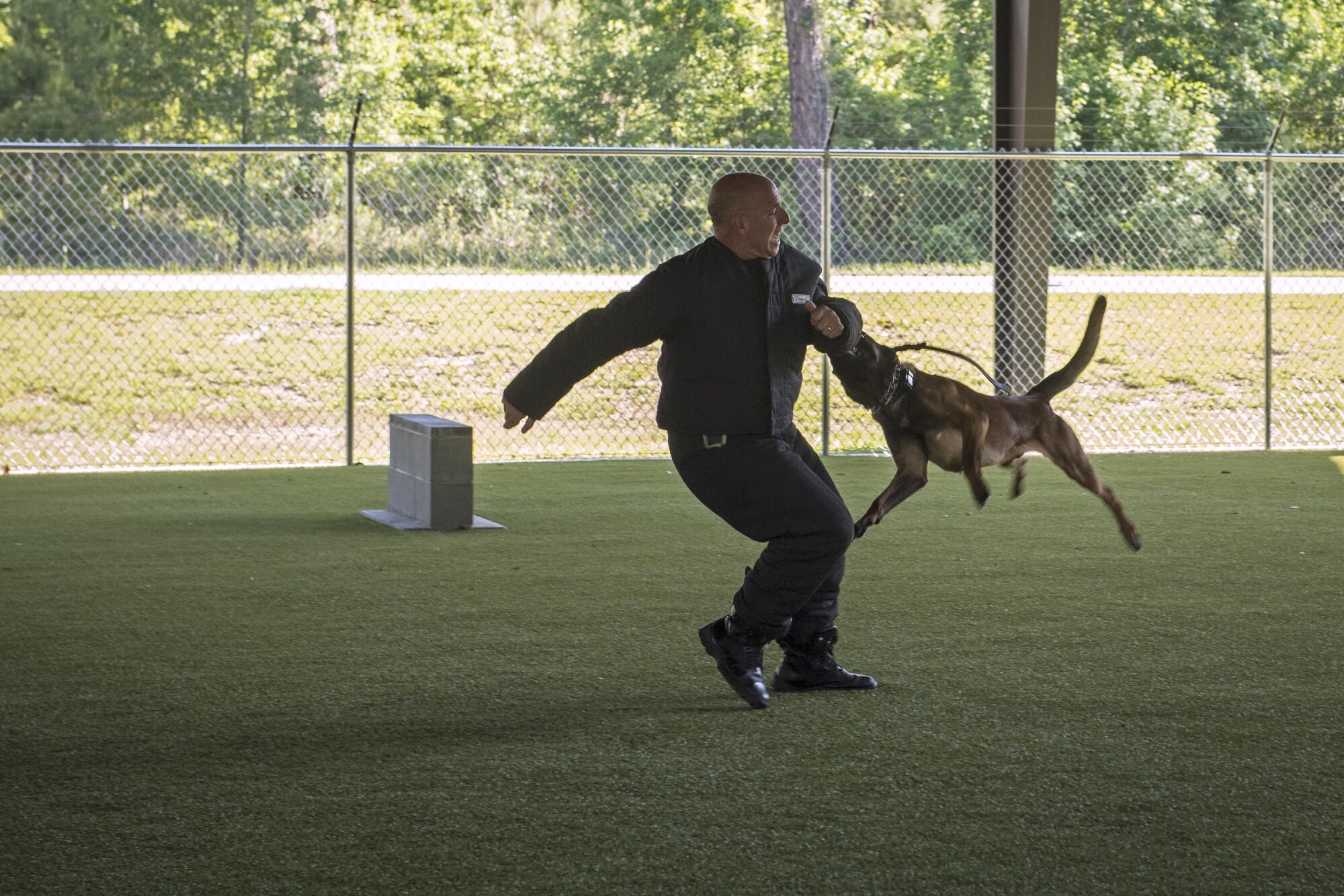 Valdosta Police Department working dog lunges at a simulated bad guy during a Police Week K-9 demonstration, May 16, 2017, at Moody Air Force Base, Ga. Moody’s Security Forces Squadron and the Valdosta Police Department K-9 unit held a showcase where MWD’s and their civilian counterparts got to show off their skills. Air Force and VPD handler’s explained the differences between commands, training, and procedures and explained how MWD’s are bred and raised. (U.S. Air Force photo Senior Airman Janiqua P. Robinson)