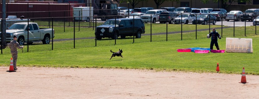 A military working dog runs to attack a decoy during the 2017 National Police Week K-9 Competition at Joint Base Andrews, Md., May 15, 2017. This was one of multiple events that gave base members a chance to see first-hand some of the services base security forces members provide. (U.S. Air Force photo by Airman 1st Class Valentina Lopez)