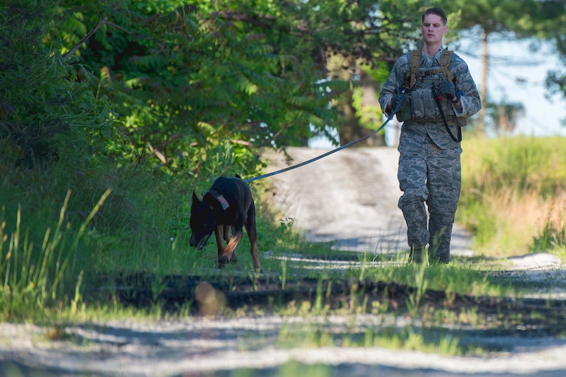 Staff Sgt. Jeremy Hammer, 86th Security Forces Squadron military working dog handler, runs with his working dog during the 2017 National Police Week MWD Iron Dog Competition at Joint Base Andrews, Md., May 16, 2017. The competition involved handlers running alongside their dogs through the trails on JBA. (U.S. Air Force photo by Airman 1st Class Valentina Lopez)
