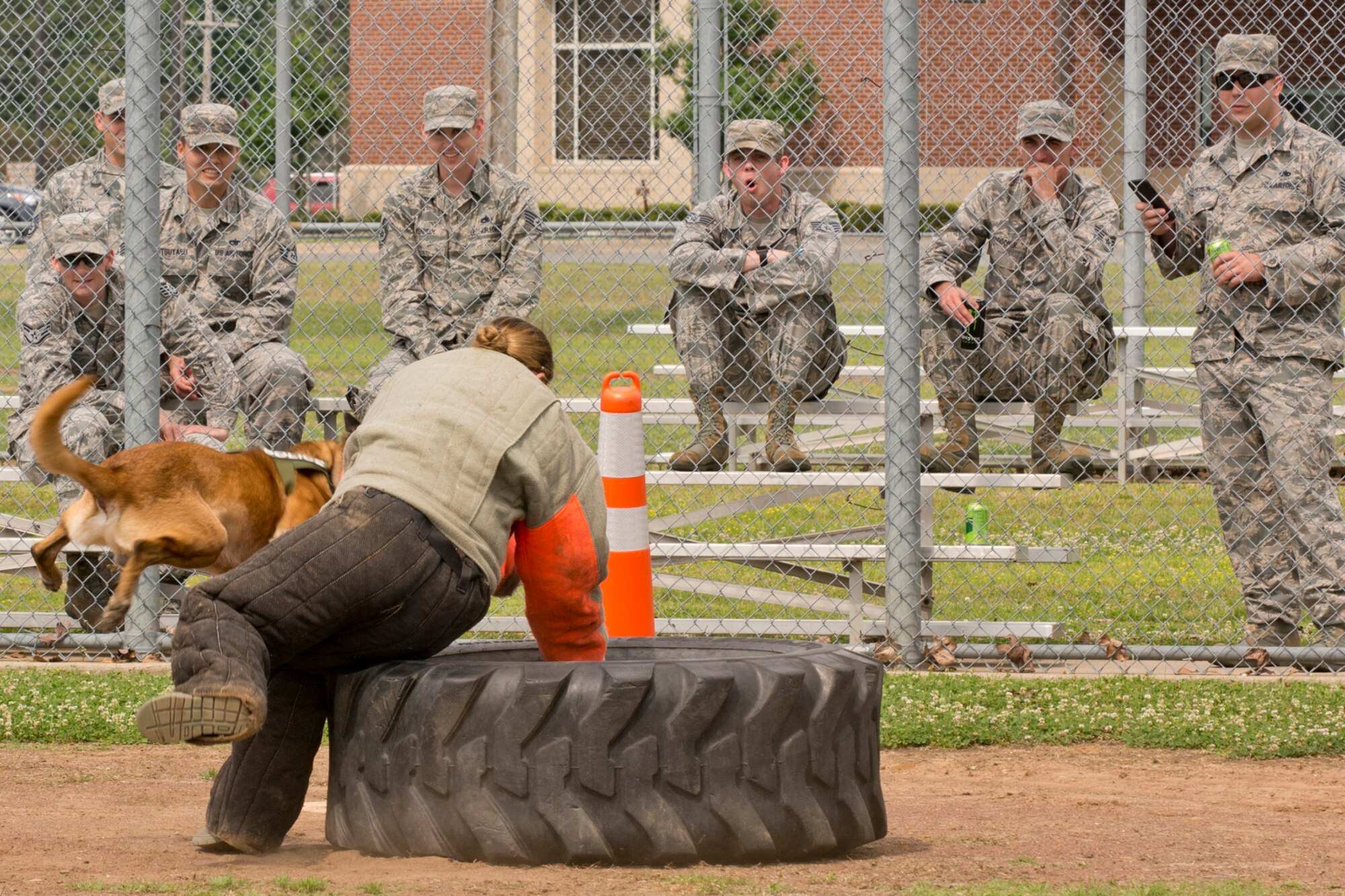 Zeus, a working dog with the North Little Rock Police Department knocks down a decoy suspect during the obedience portion of the “Military Working Dog (MWD) Competition" at Little Rock Air Force Base, Ark., May 17, 2017. The competition, which included local law enforcement agencies, was designed to assess tactical obedience with multiple distractors to ensure the MWD maintains a keen focus on the decoy suspect sitting on the tire. The dogs had to pass several bite sleeves and suits on the ground to reach the decoy. (U.S. Air Force photo by Master Sgt. Jeff Walston/Released)