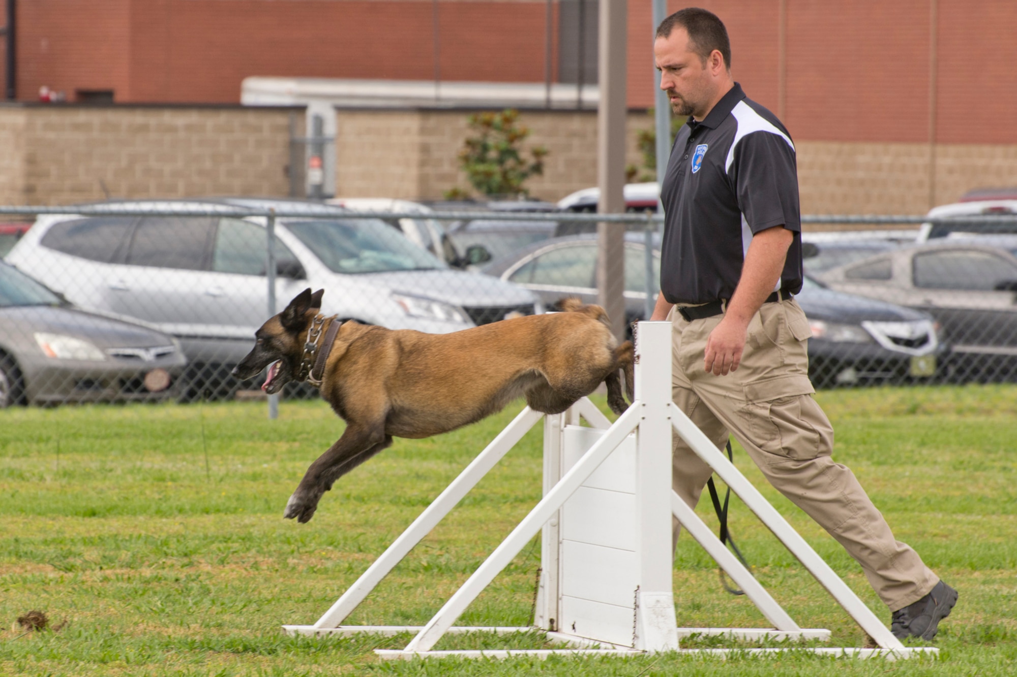 Corporal Brandon Jones, Hot Springs Police Department, watches as Keena clears a hurdle during the obedience portion of the “Military Working Dog (MWD) Competition" at Little Rock Air Force Base, Ark., May 17, 2017. This portion of the competition is used to simulate an open window or a barrier that a MWD might have to maneuver to get to a subject. The competition was held in honor of National Police Week. (U.S. Air Force photo by Master Sgt. Jeff Walston/Released)