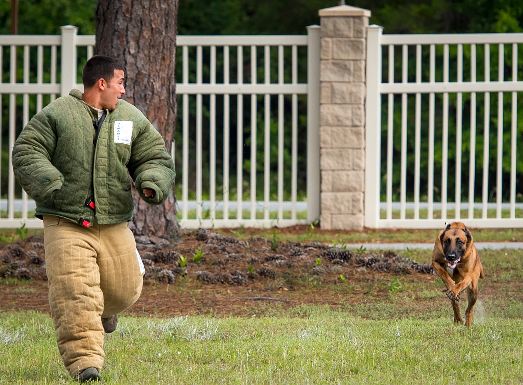 Military Working Dog Arko, 96th Security Forces Squadron, runs toward a simulated assailant during a demonstration for Eglin Elementary School kids May 18 at Eglin Air Force Base, Fla. The event was in celebration of National Police Week. More than 100 children watched the demonstration. (U.S. Air Force photo/Samuel King Jr.)