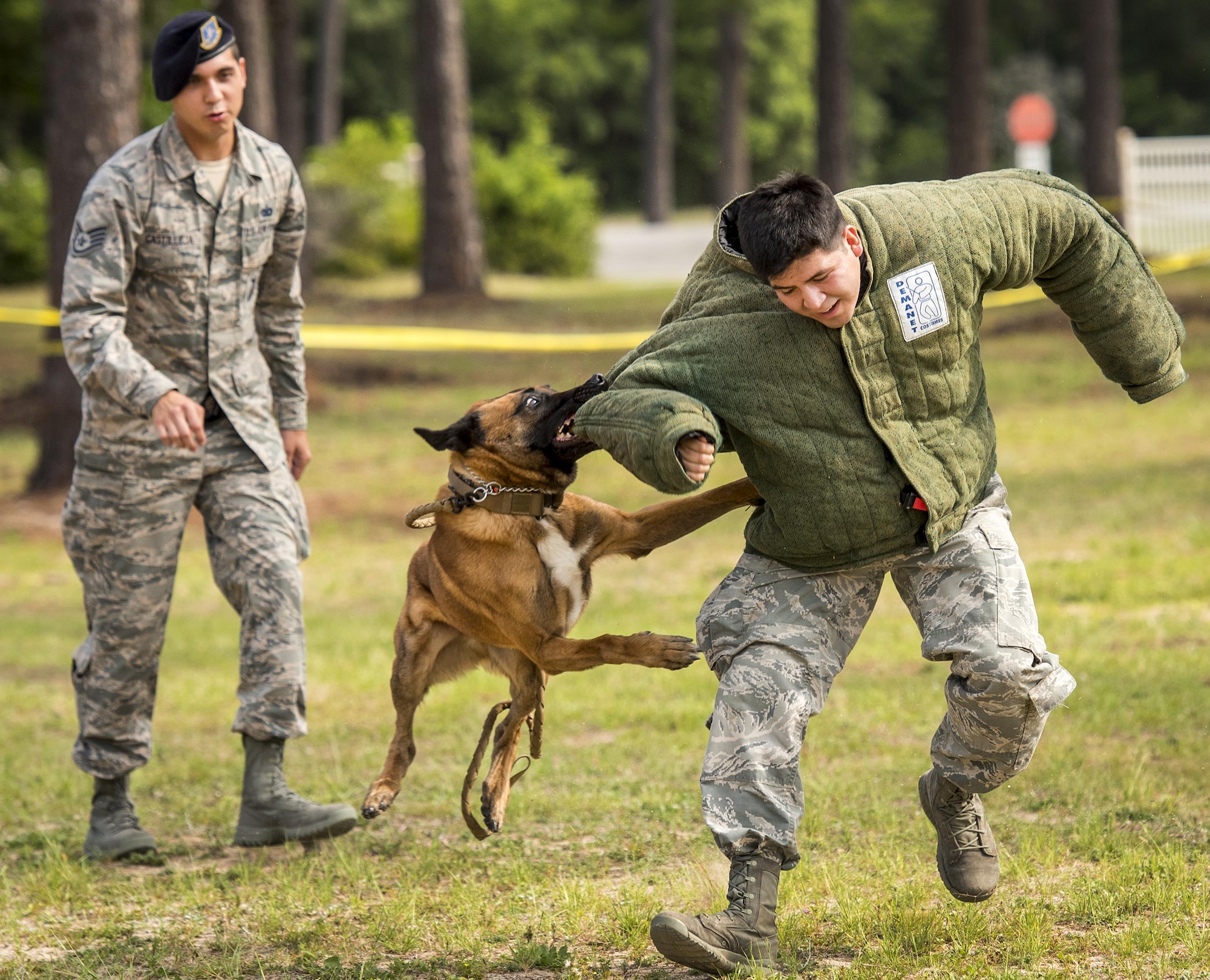 Military Working Dog Arko, 96th Security Forces Squadron, captures the “bad guy” during a demonstration for Eglin Elementary School kids May 18 at Eglin Air Force Base, Fla. The event was in celebration of National Police Week. More than 100 children watched the demonstration. (U.S. Air Force photo/Samuel King Jr.)